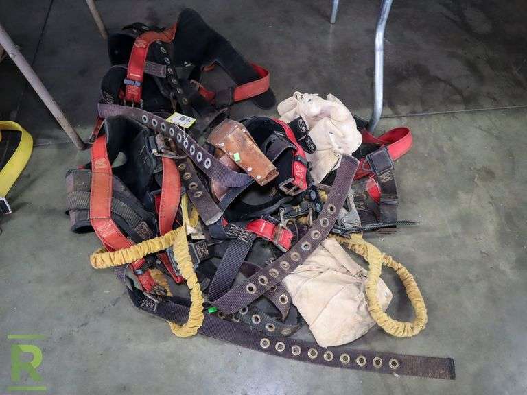 (3) Harnesses - Roller Auctions