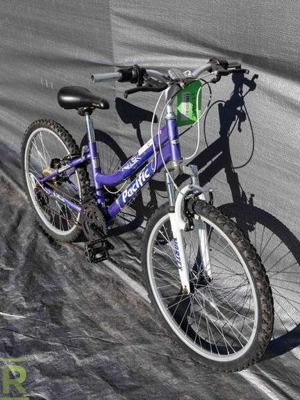 pacific evolution 26 men's mountain bike