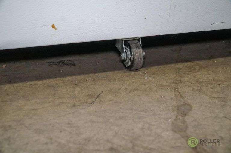 Kelvinator Commercial Chest Freezer on Casters Roller Auctions