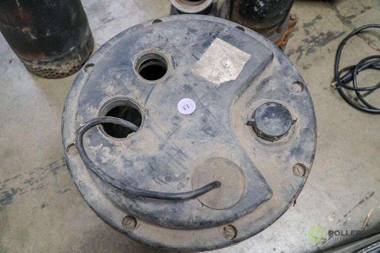 Zoeller Drain Pump105 Sump & Pump Roller Auctions