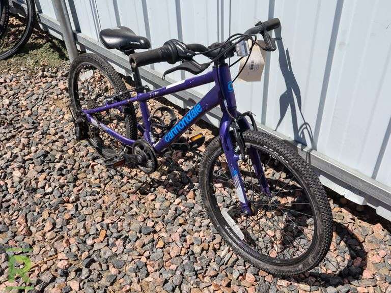 stationary bike with arm exerciser