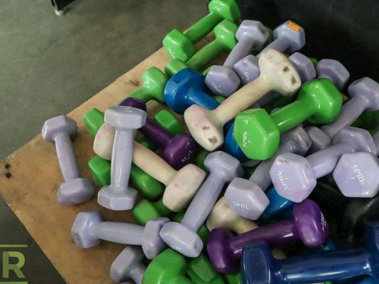 SPRI Dumbbells - Roller Auctions
