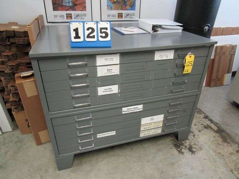 5DRAWER BLUEPRINTS METAL (sold 2x the money) Rosen Systems