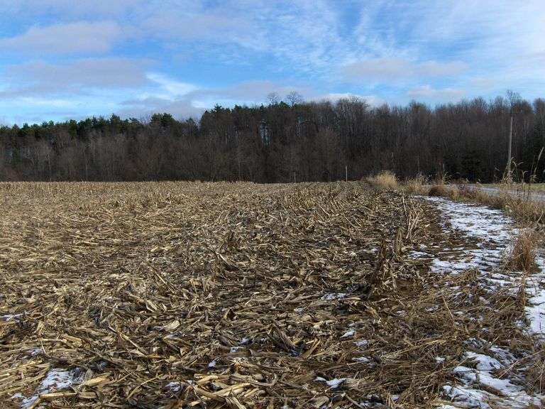 48.6 ACRES OF PURE SOIL, well-drained, both tilled and hardwoods! DeFisher/Podger Road Land