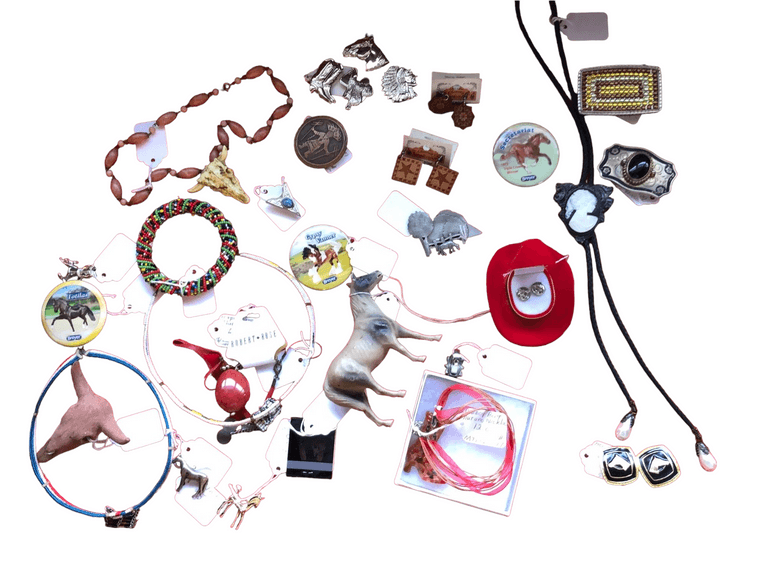 Horse Theme Accessories in Display Case reSettled Life