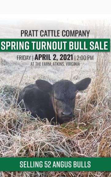 Pratt Cattle Company