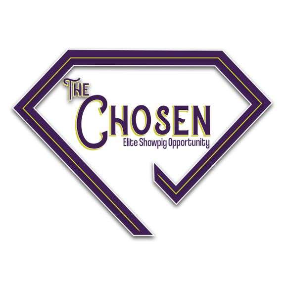 The Chosen ELITE Showpig Opportunity "Virtually Live Sale"