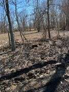 Tract 2: 18 + or – acres, 9.13 + or – Acres Tillable & 8.87 wooded hunting acres. 