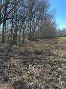 Tract 2: 18 + or – acres, 9.13 + or – Acres Tillable & 8.87 wooded hunting acres. 