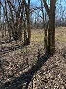 Tract 2: 18 + or – acres, 9.13 + or – Acres Tillable & 8.87 wooded hunting acres. 