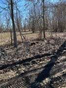 Tract 2: 18 + or – acres, 9.13 + or – Acres Tillable & 8.87 wooded hunting acres. 