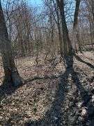 Tract 2: 18 + or – acres, 9.13 + or – Acres Tillable & 8.87 wooded hunting acres. 
