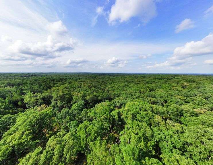 112.88 Acre Franklin County Online Land Auction