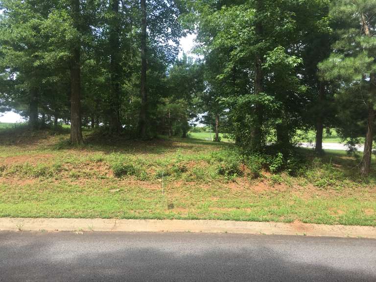 Seven Hills Auctions, LLC