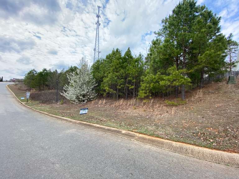 Seven Hills Auctions, LLC