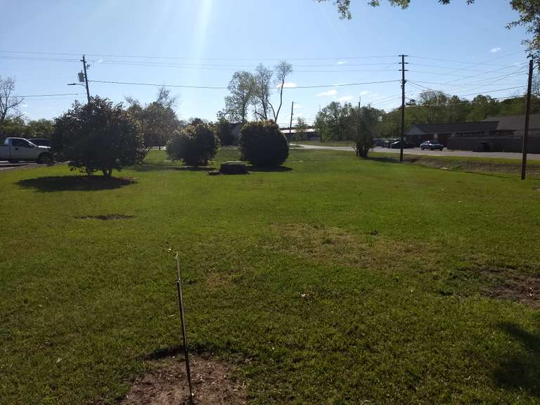 Seven Hills Auctions, LLC