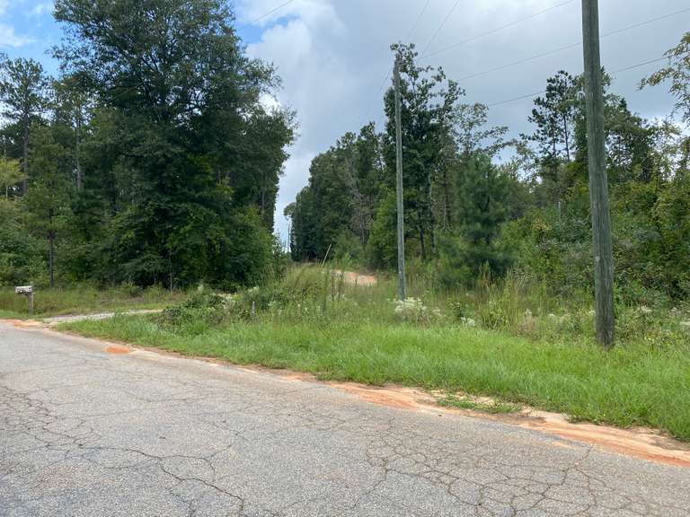 Seven Hills Auctions, LLC