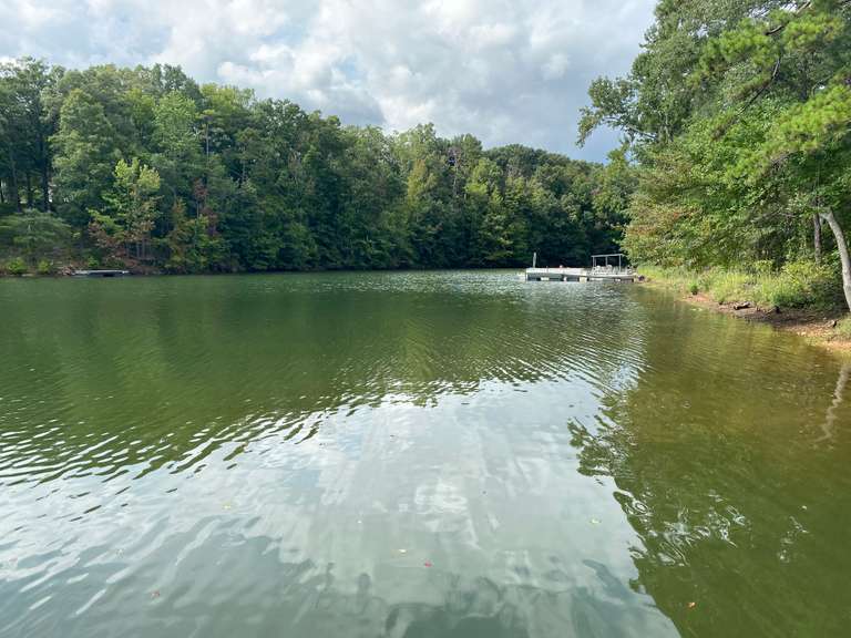 Seven Hills Auctions, LLC