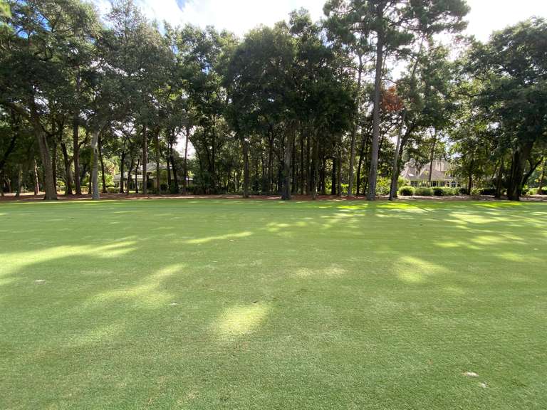 Seven Hills Auctions, LLC