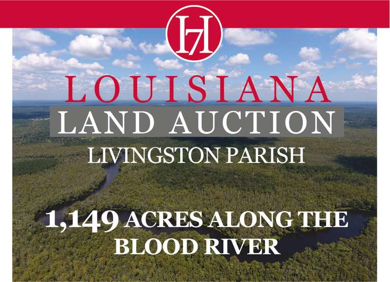 Louisiana Land Auction