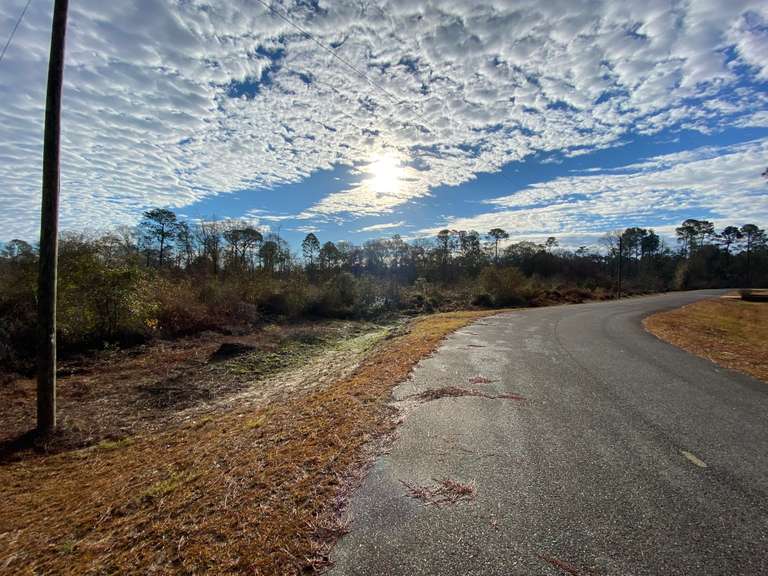 Seven Hills Auctions, LLC