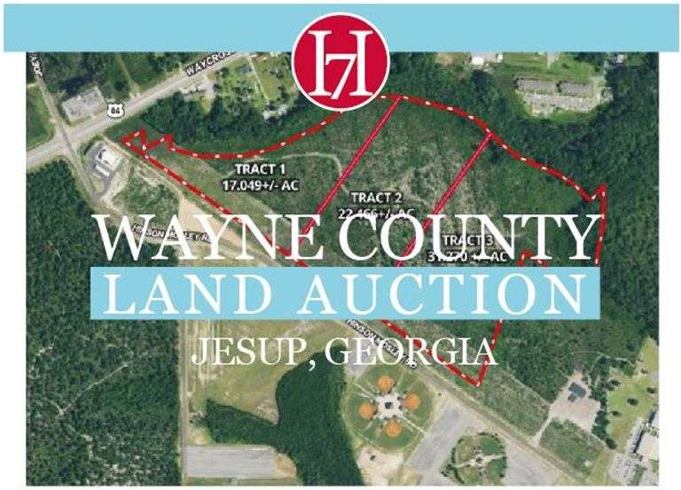 Georgia Land Auction: Wayne County (Hinson Mosley Tract)