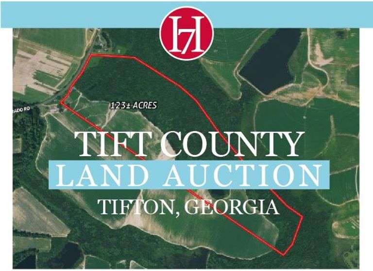 Georgia Land Auction: Tift County (Tifton Eldorado Road)