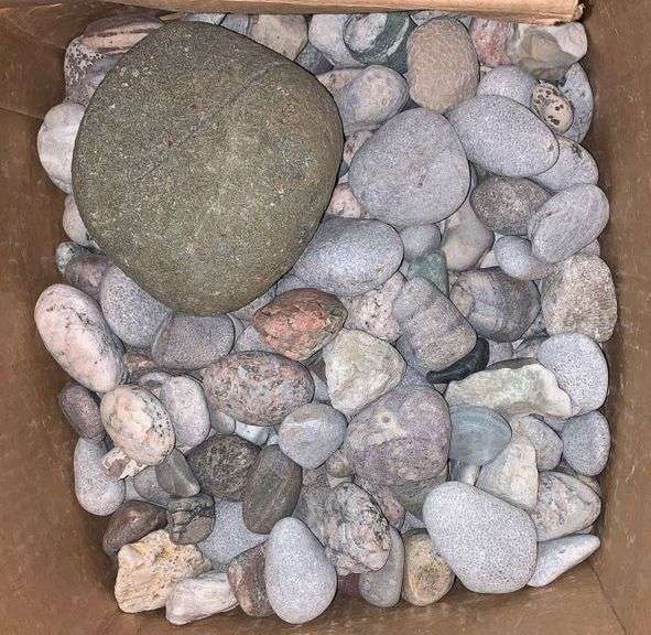 Michigan rocks & seashell collections Sherwood Auctions