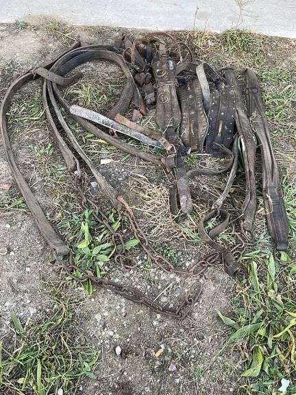 Vintage Leather Horse Harnesses - Sherwood Auctions