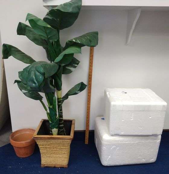 Faux Plant, Terracotta Planter + Foam Coolers Sherwood Auctions