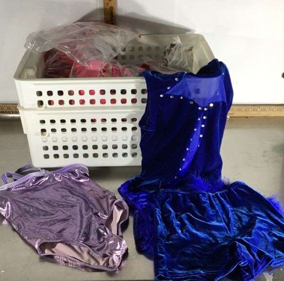 Dance Costumes, Storage Bins Sherwood Auctions