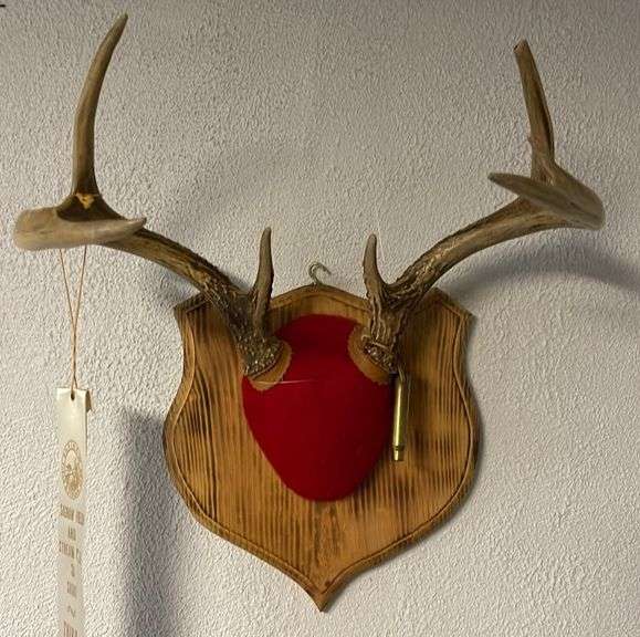 Seven Point Deer Rack Mount Sherwood Auctions