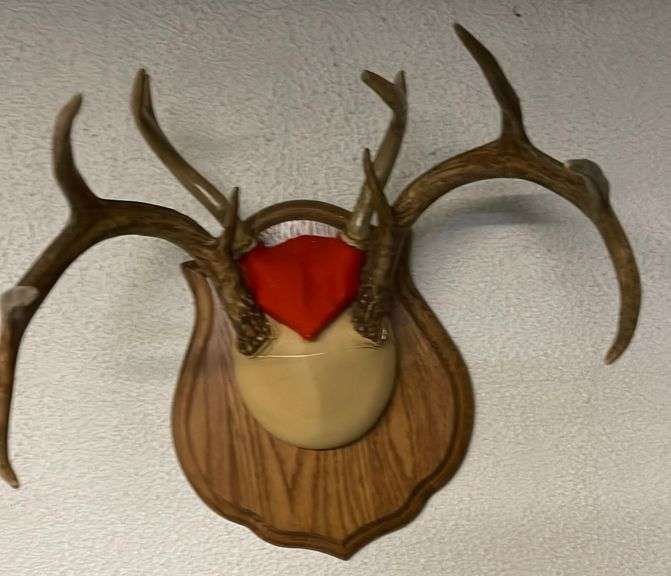 Two Deer Rack Mounts Sherwood Auctions