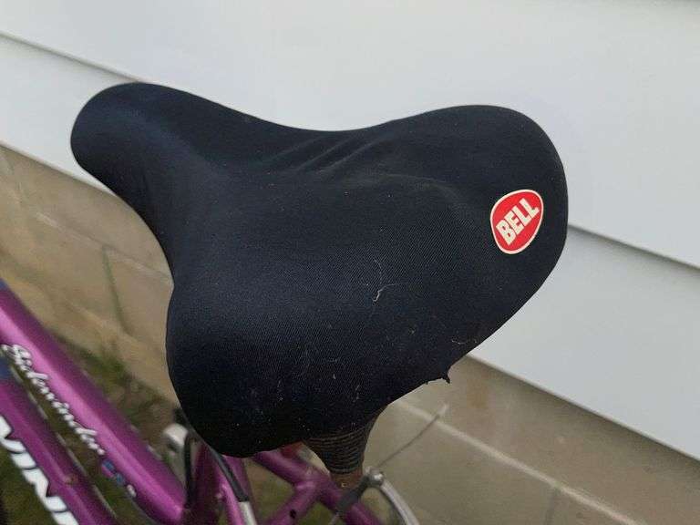 schwinn sidewinder 2.6 fs