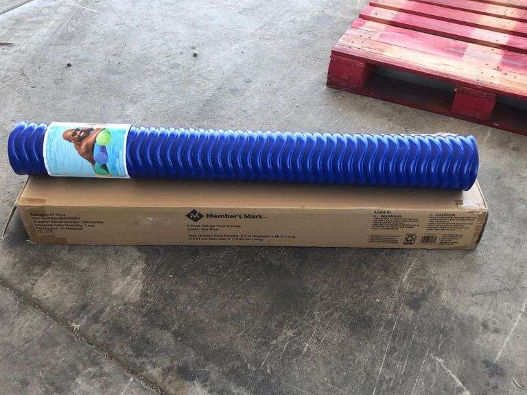 2Pack Deluxe Pool Noodle Sierra Auction Management Inc