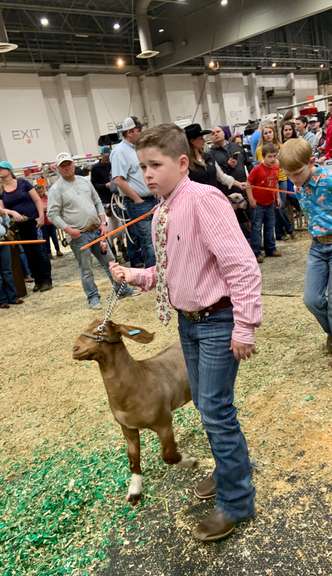 Mark Tomlinson Brazoria County 4 H StockShowAuctions