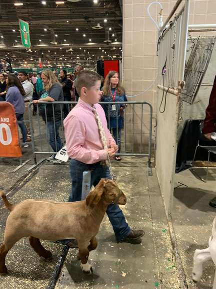 Mark Tomlinson Brazoria County 4 H StockShowAuctions