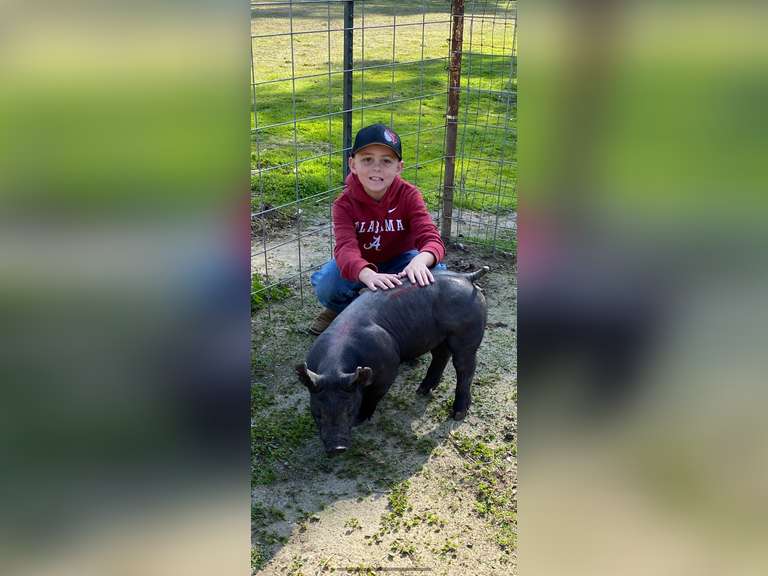 Jake Guibor Escalon 4H