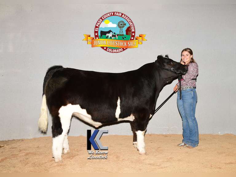 Natalie Parks Calhan Ranch Hands