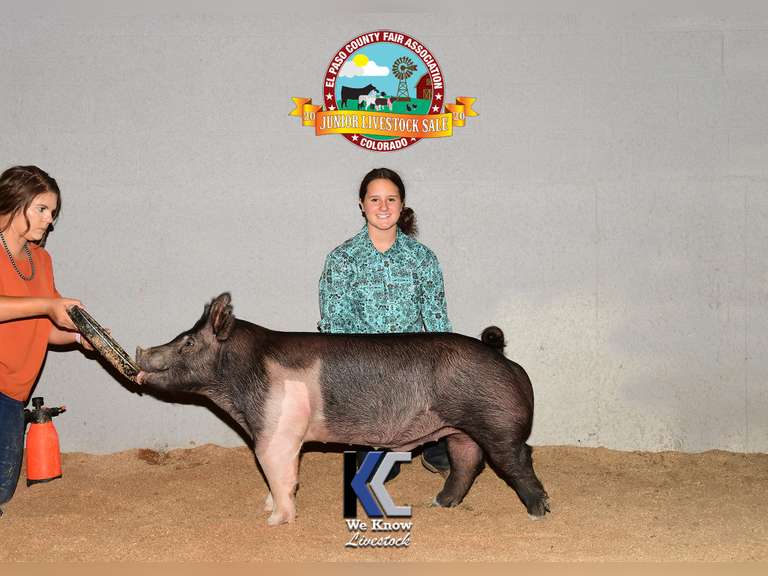 Tara Evans Calhan Ranch Hands 4H