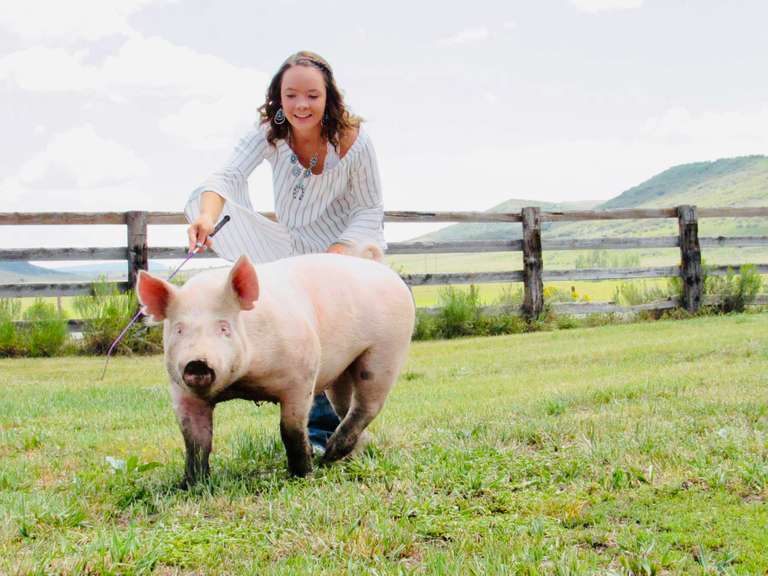 Kaetlyn Freideman Handy lads and lassies 4H and SoRoCo FFA - StockShowAuctions.com