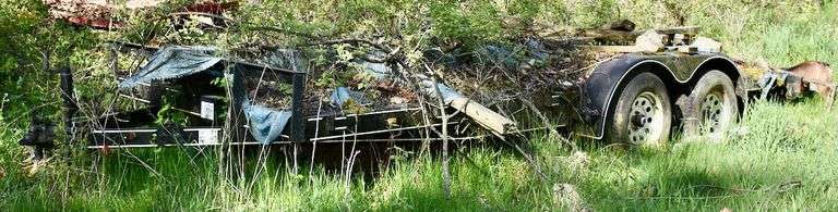 Nancy Morsman Estate Auction, Wednesday Morning, June 9th @ 10 A.M.