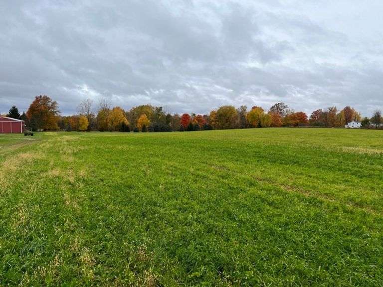 19 (+/-) acre parcel of vacant agricultural land.