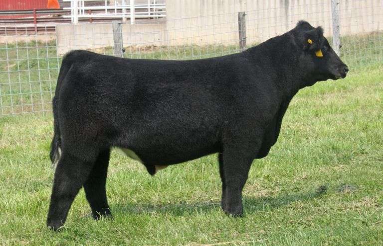 TAG 152-6432 STEER