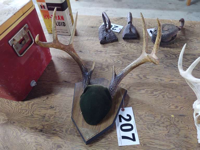 Mounted deer horns South Auction
