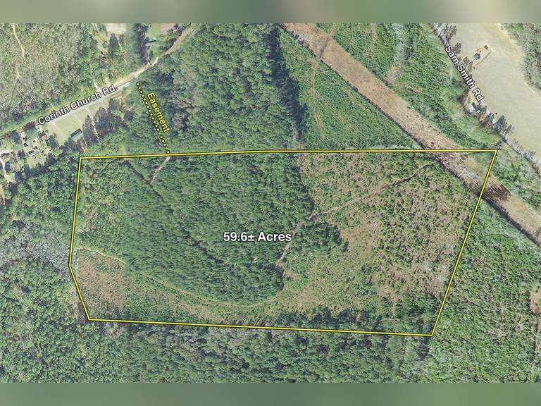 59 acres, Clyo, GA South Auction