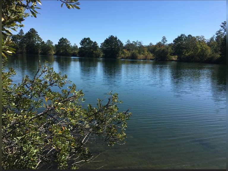 14 Acres and Pond, Oak Park, GA South Auction
