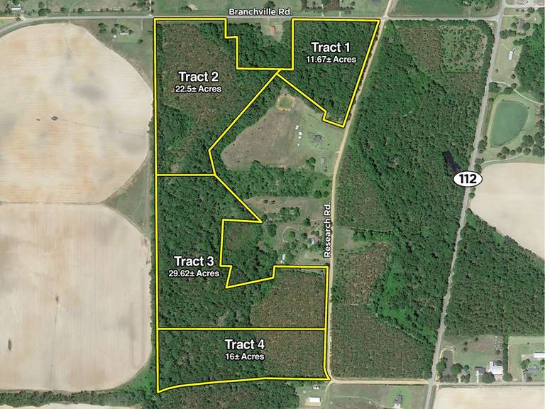 Live Oak Acres, Camilla, GA South Auction