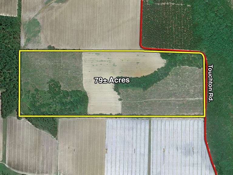 The Varnedoe Farm, Barney, GA 79 acres South Auction