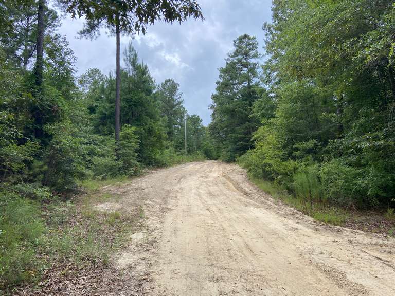 24.9+/ acres, Busby Rd., Statesboro, GA ***OFFERED AS A WHOLE